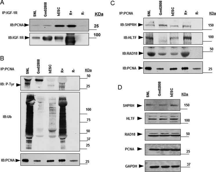 Figure 6.