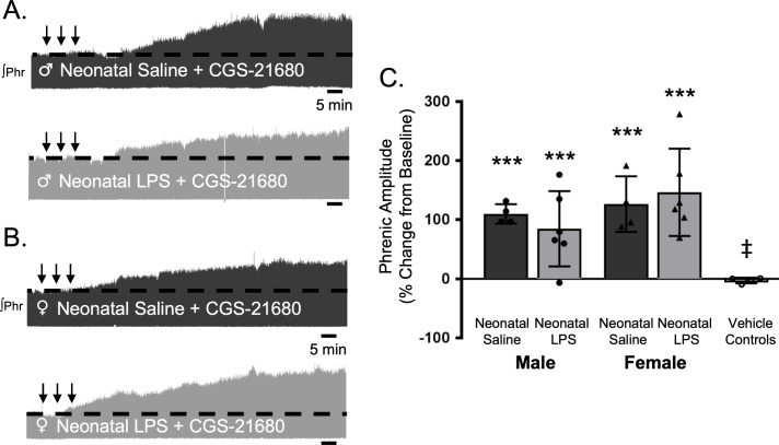 Figure 7.