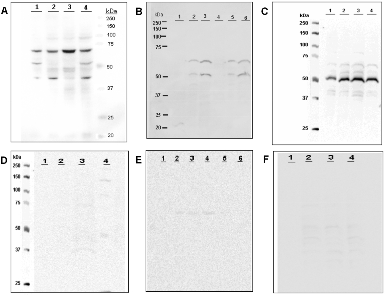 Fig. 4