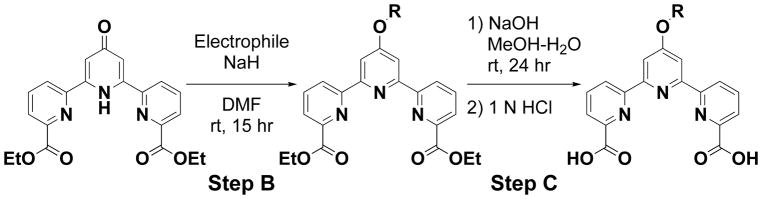 Scheme 2