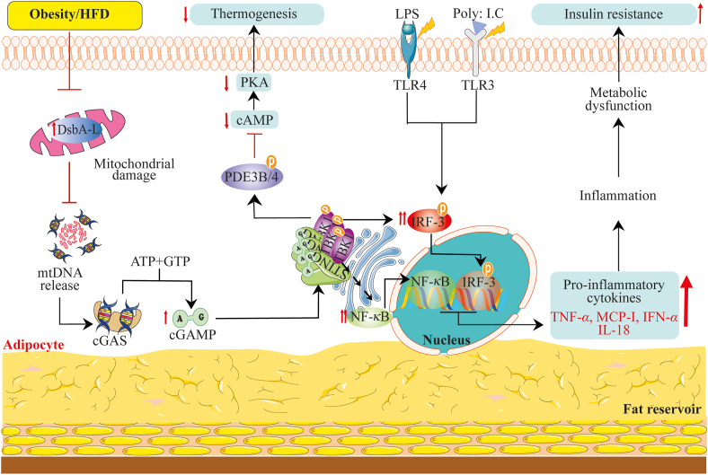 Figure 6