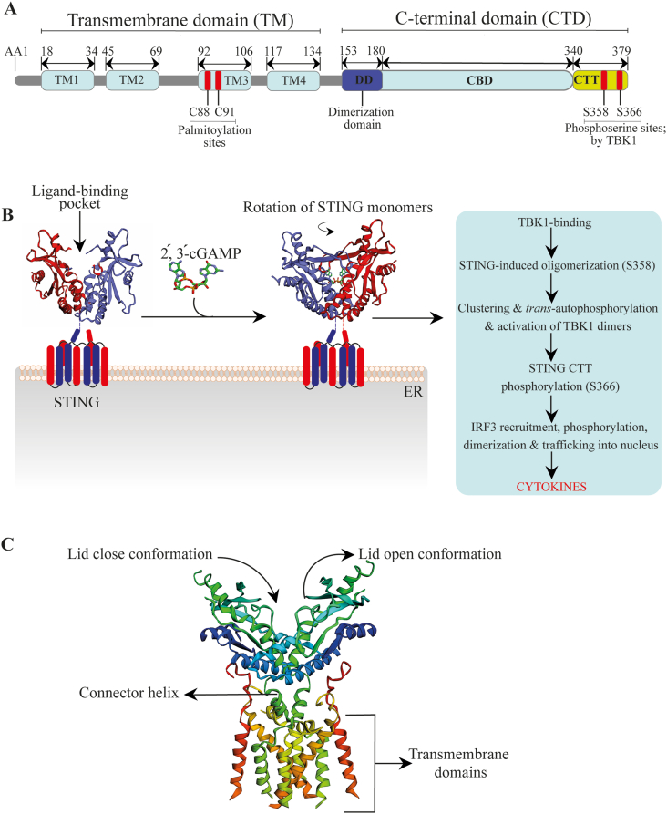 Figure 3