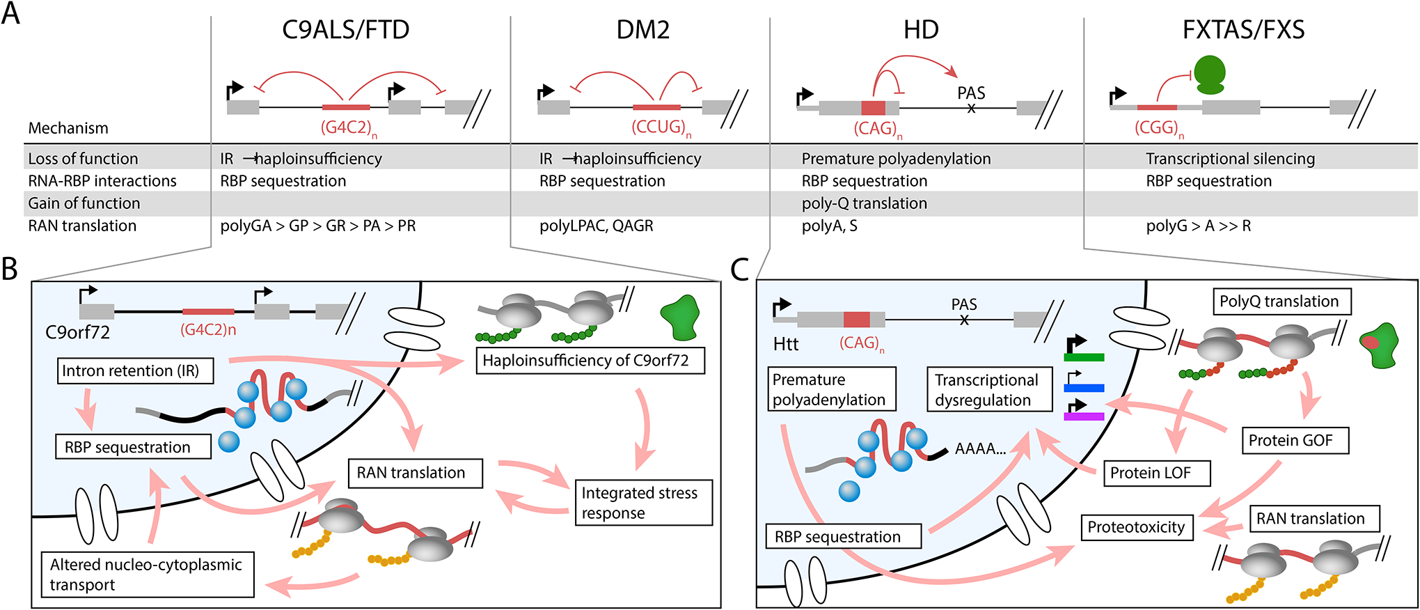 Figure 5: