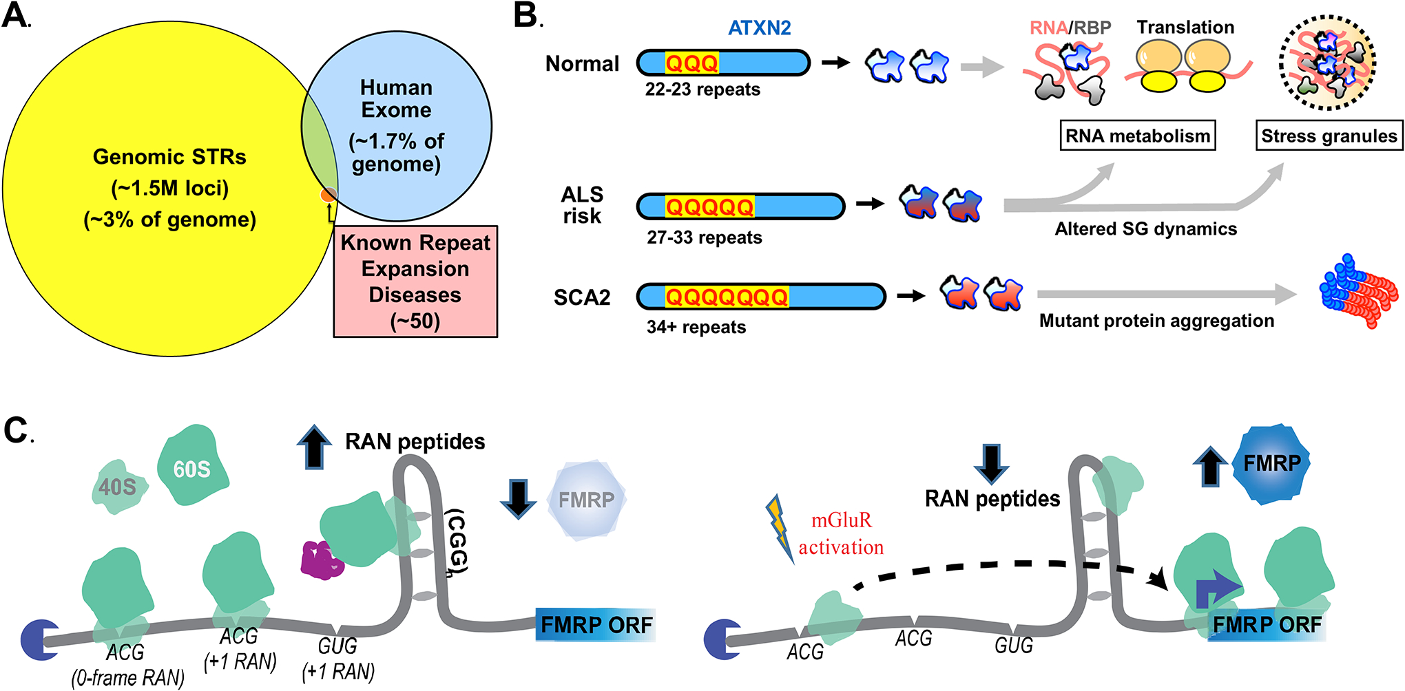 Figure 6: