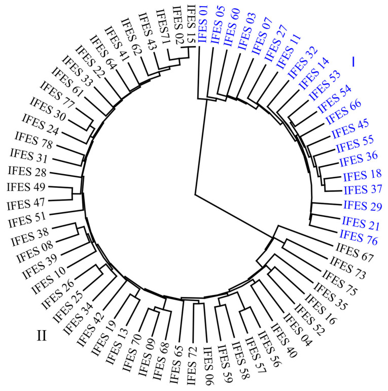 Genetic Diversity Of Common Bean (phaseolus Vulgaris L.) Landraces 