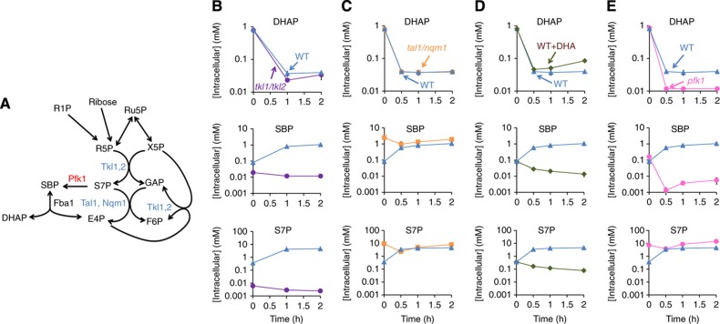 Figure 6