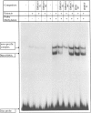 FIG. 6