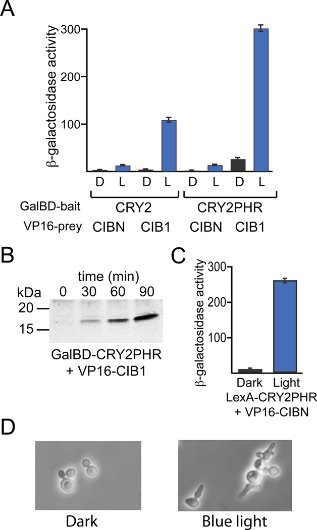 Figure 5