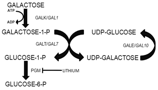 Fig. 1.