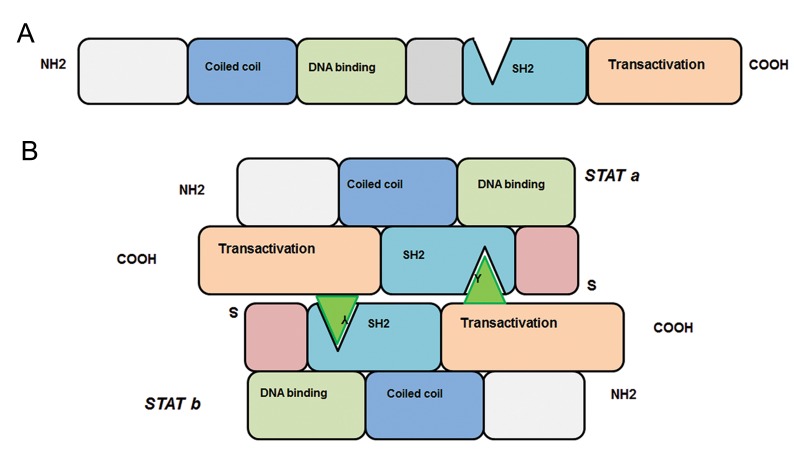 Fig.2