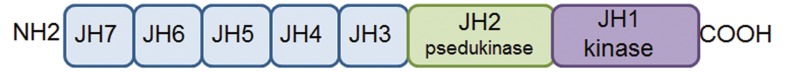 Fig.1