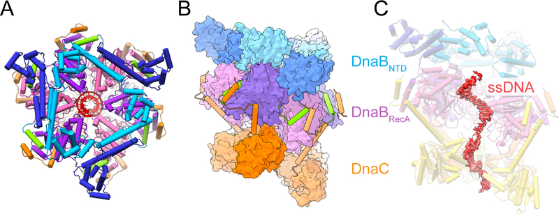 Figure 3.