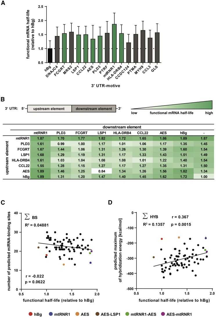 Figure 2