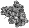 FIG. 5.
