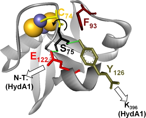 FIGURE 6.