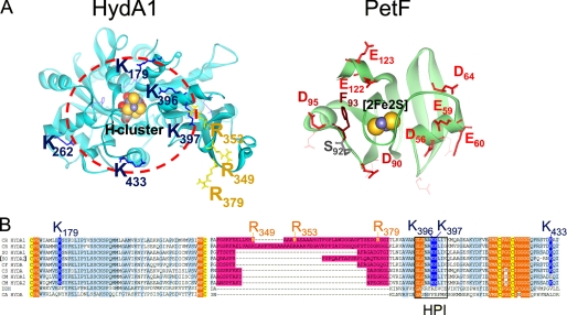 FIGURE 1.