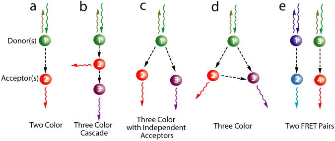 Box Figure 1