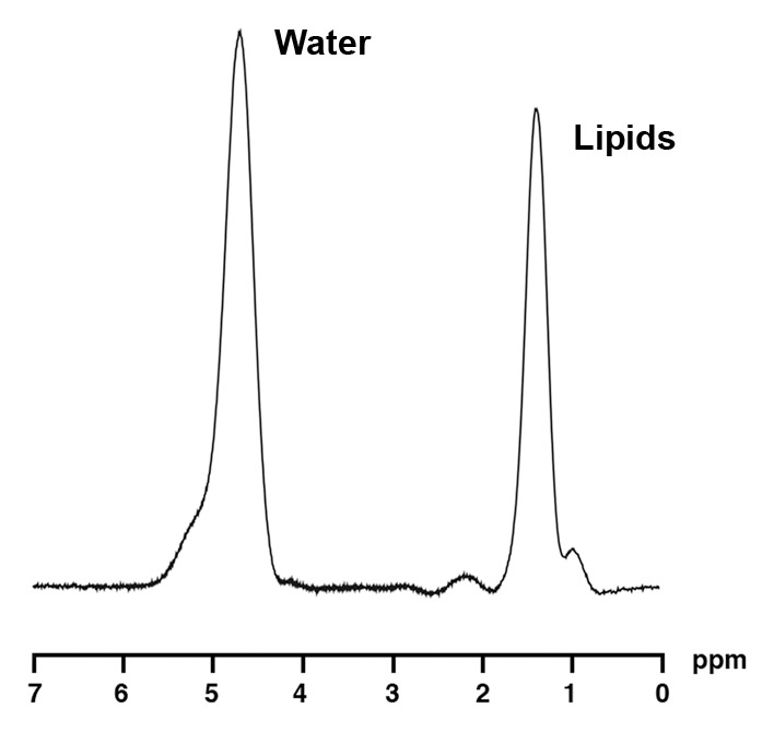 Figure 2a: