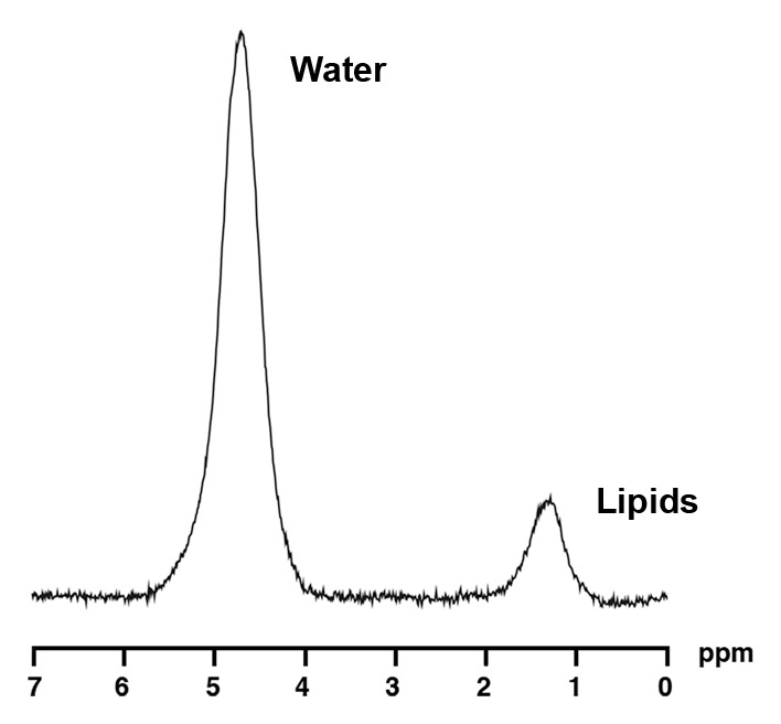 Figure 3b: