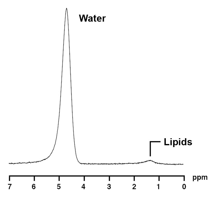 Figure 3a: