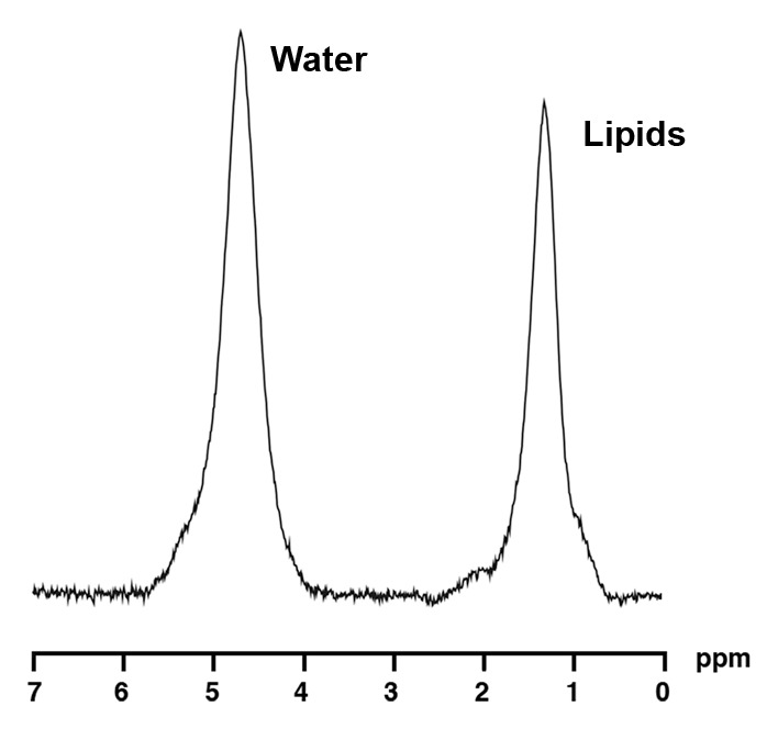 Figure 2b: