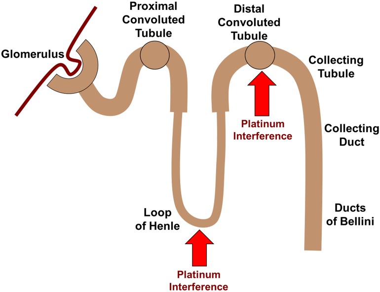 Fig. 2