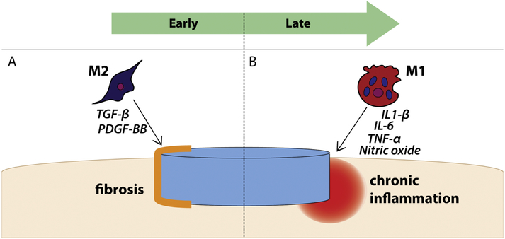 Figure 2: