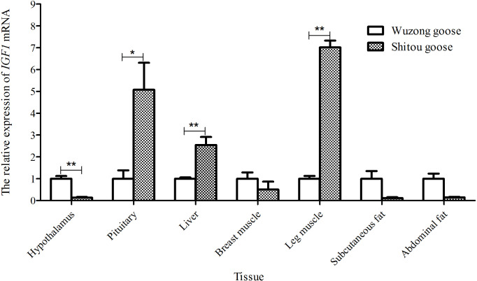 Figure 7