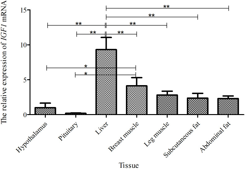 Figure 4