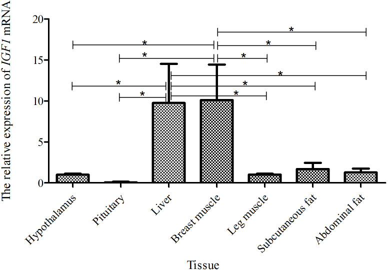 Figure 5