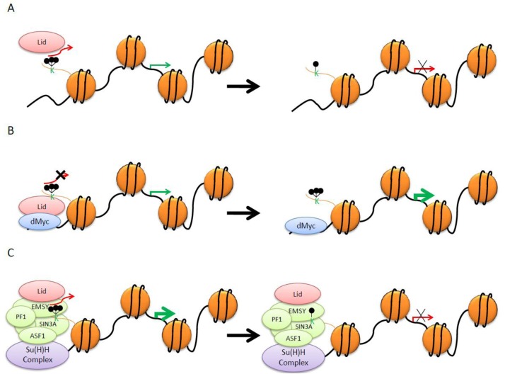 Figure 2.