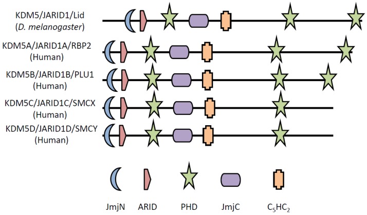 Figure 1.