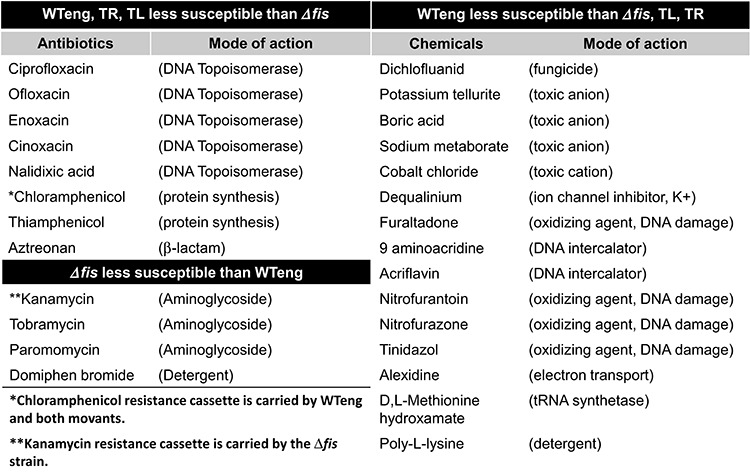 graphic file with name gkv709ufig2.jpg