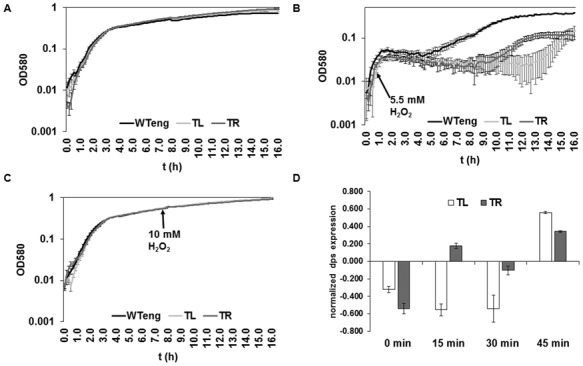 Figure 5.