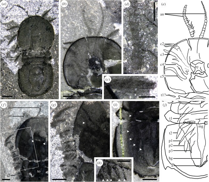 Figure 2.