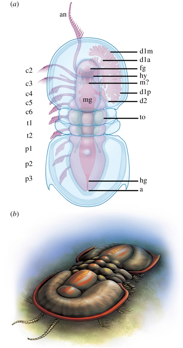 Figure 3.