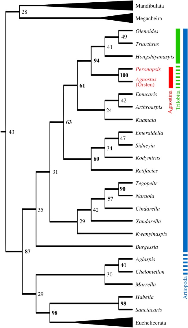 Figure 4.