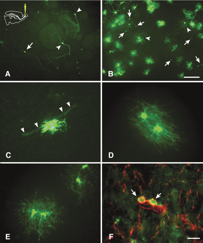 Figure 10.