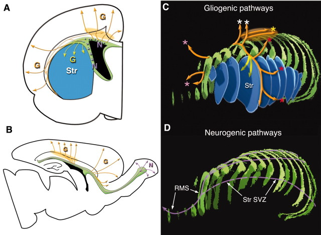 Figure 11.