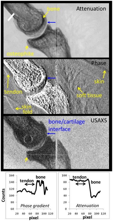 Fig. 12