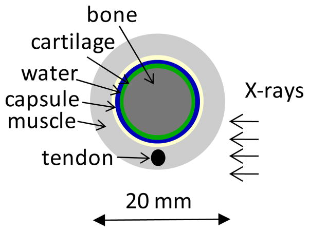 Fig. 2