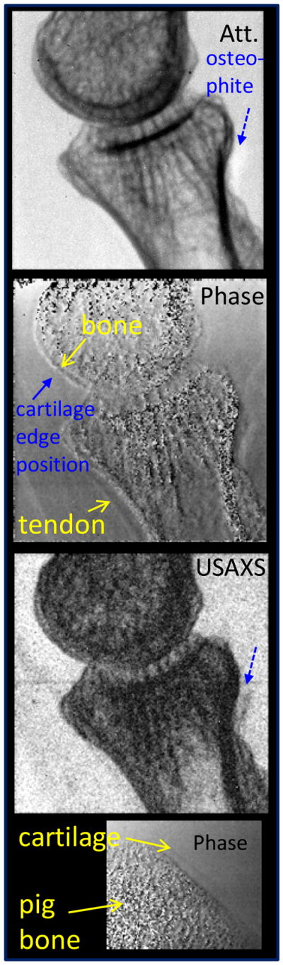 Fig. 13