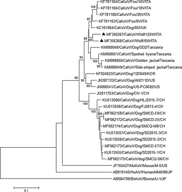 Fig. 1