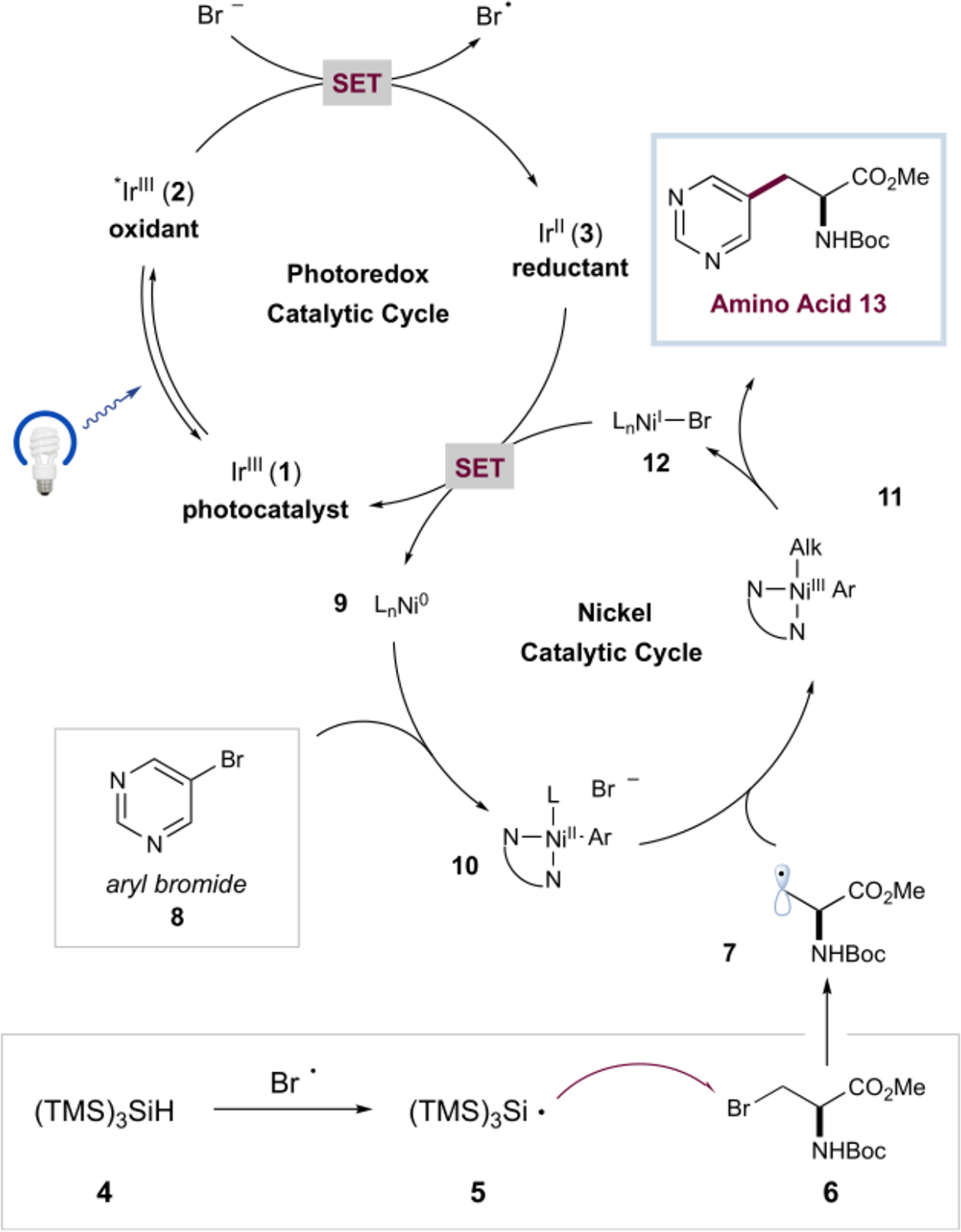 Scheme 1.