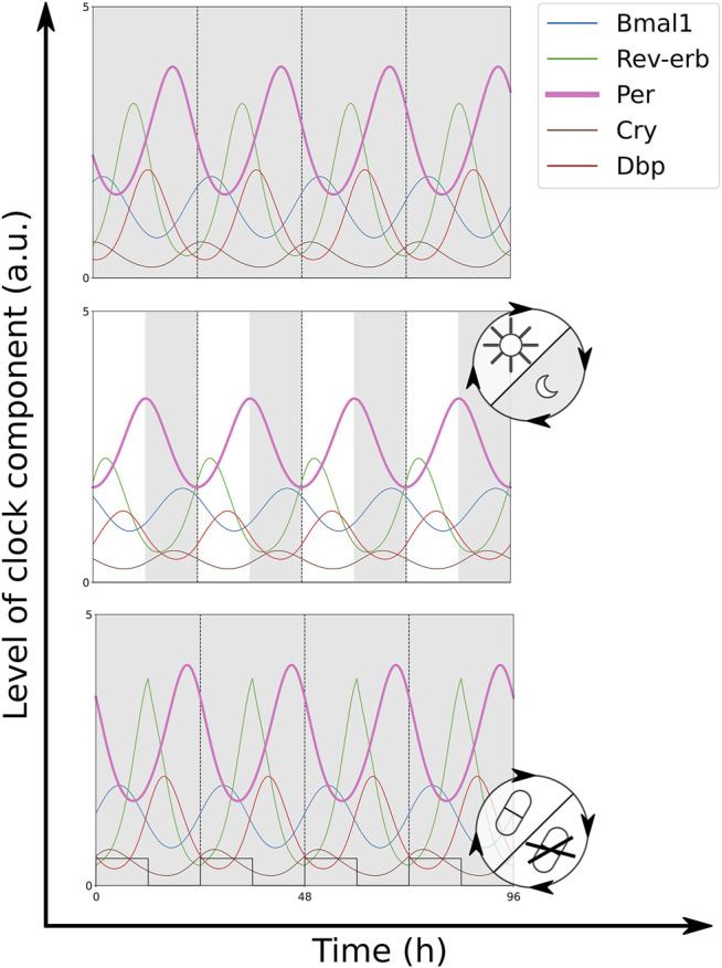 FIGURE 2