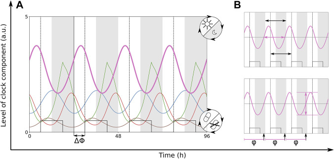 FIGURE 4