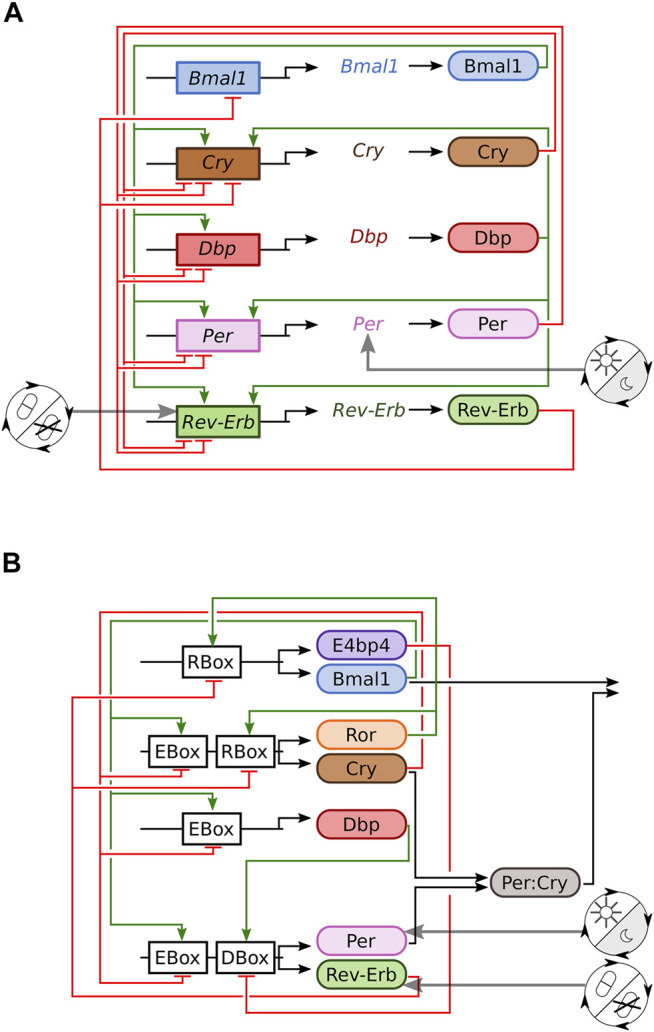 FIGURE 1