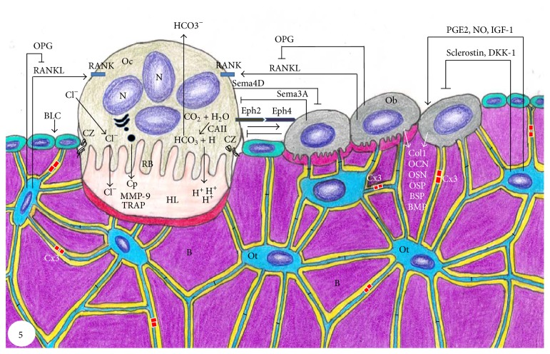 Figure 5