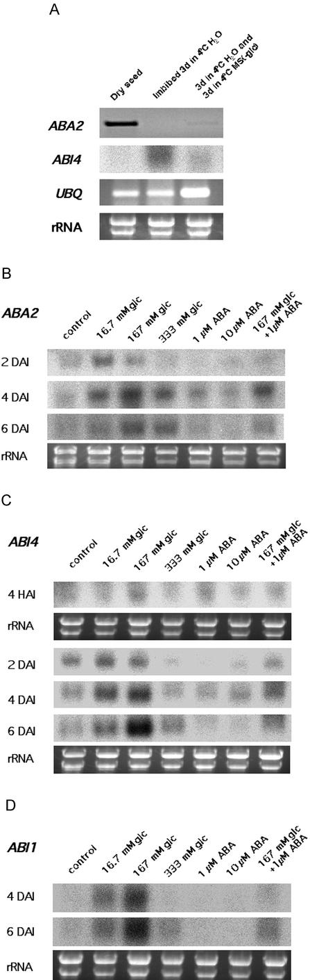 Figure 6.