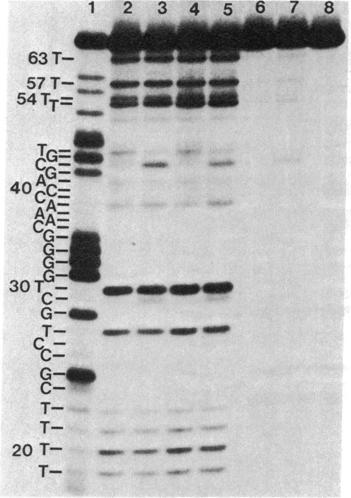 graphic file with name pnas00612-0061-a.jpg